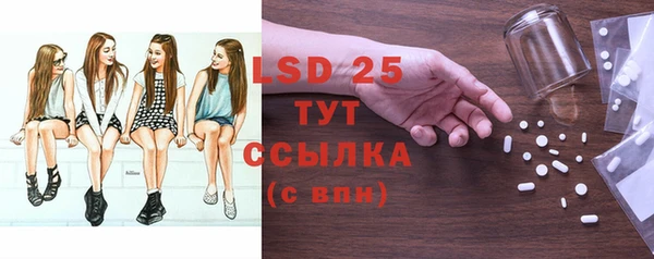 прущие грибы Саяногорск