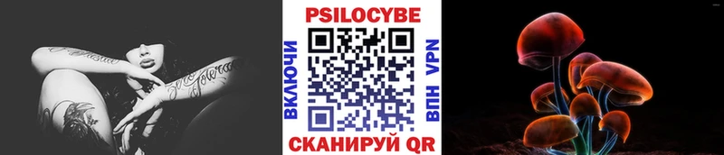 магазин наркотиков Зверево Галлюциногенные грибы MAGIC MUSHROOMS