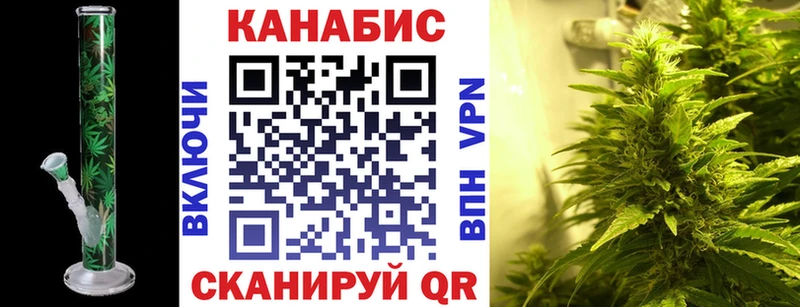 darknet состав  Зверево  Шишки марихуана сатива 